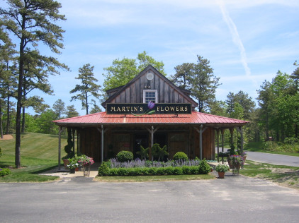 Martins Flowers Pinehills