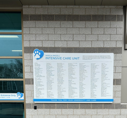 Mspca angell wall donor plaque