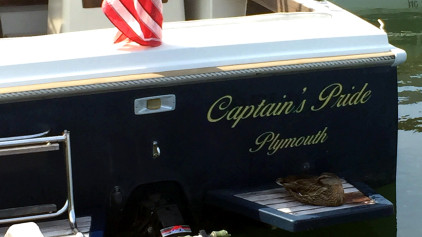 Captains Pride